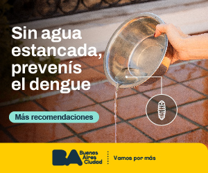 1.5 CABA. DENGUE 2024